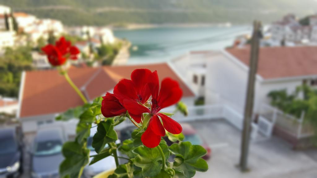 Villa Piccolotti Neum Εξωτερικό φωτογραφία